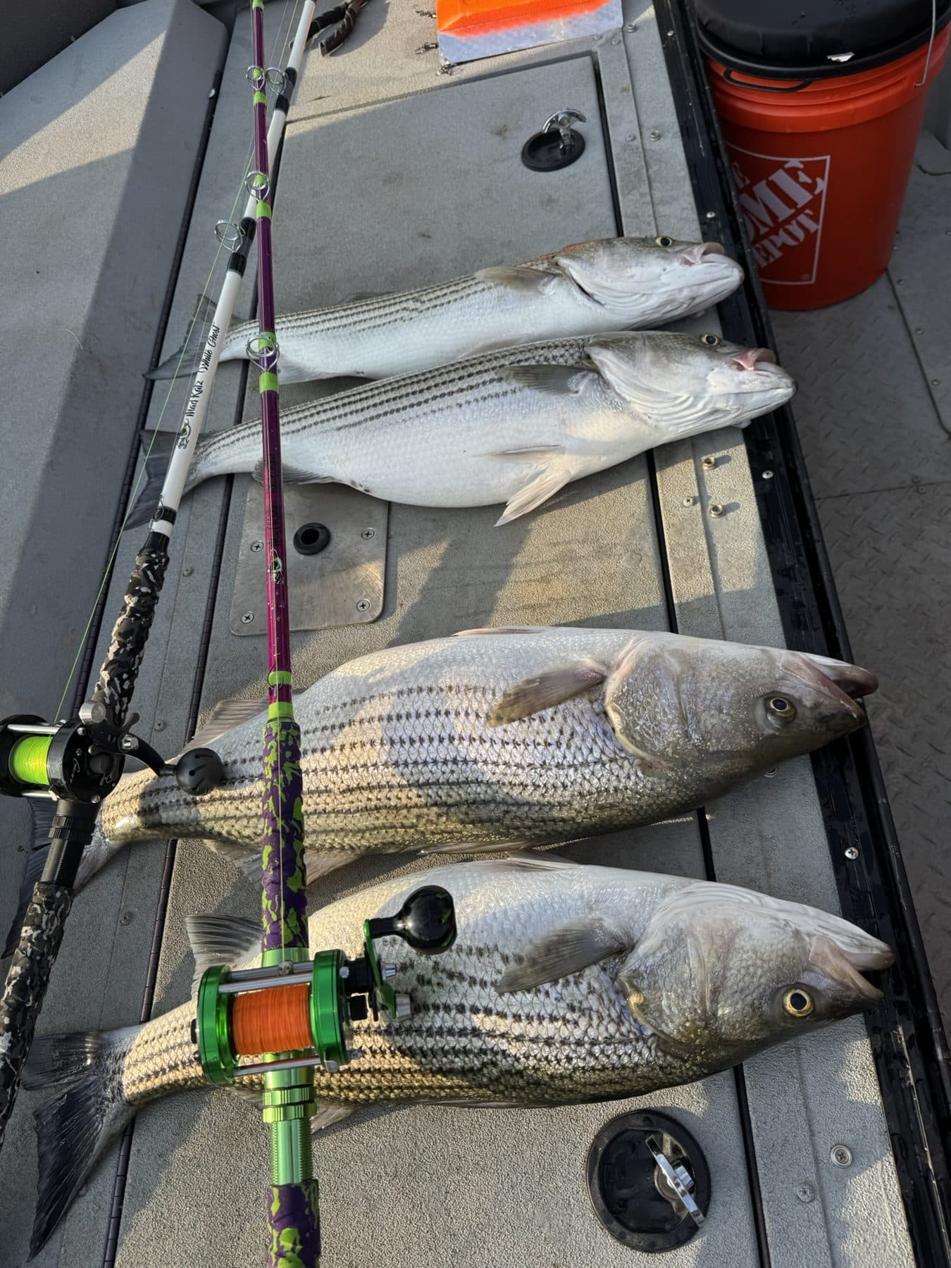 A morning limit on the deck