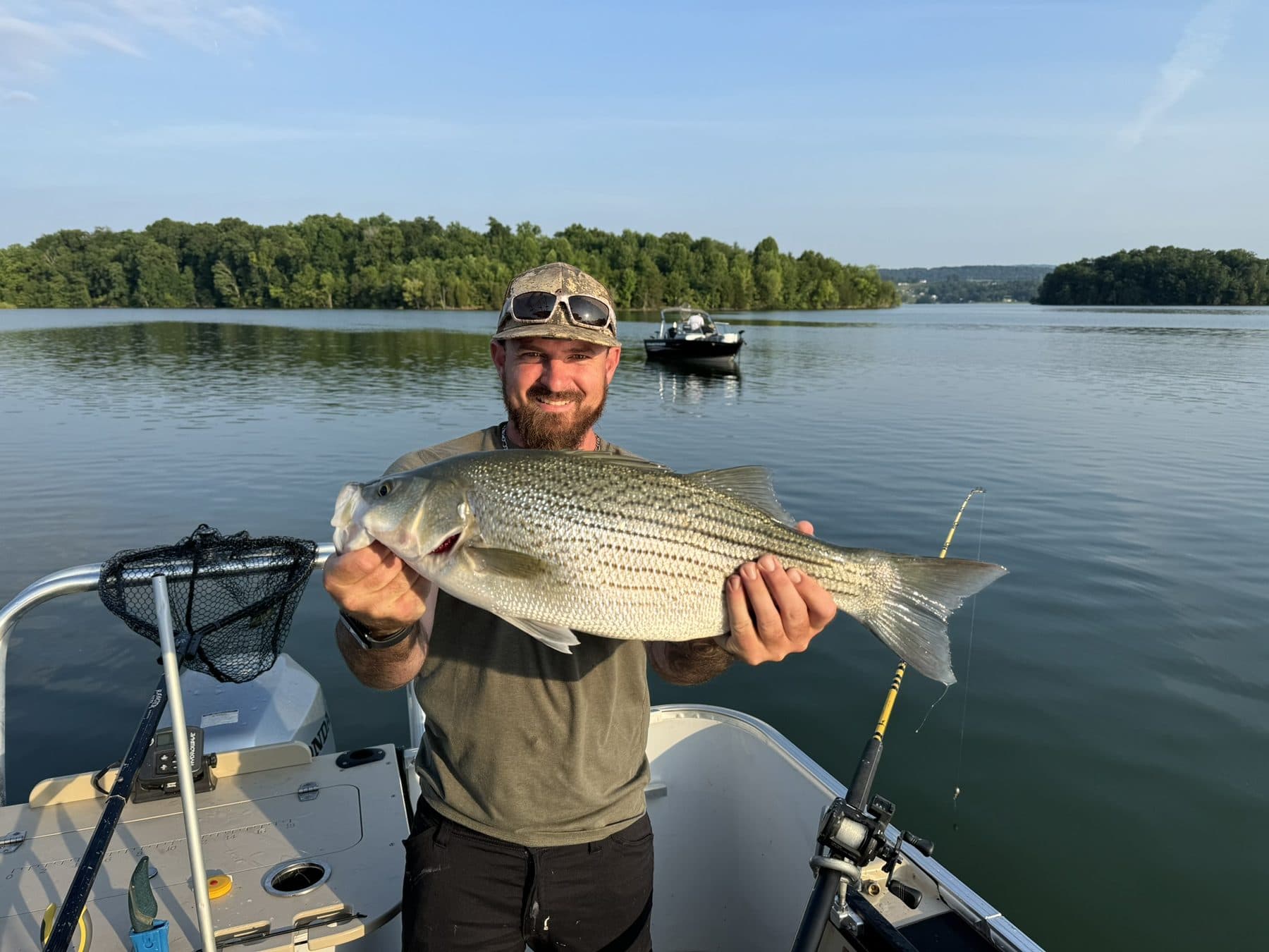 Striper on a calm morning