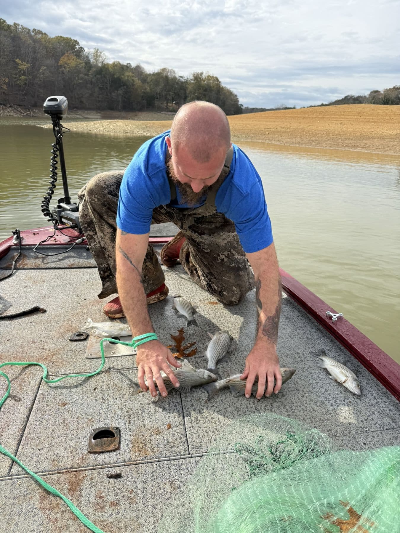 A striper caught wading deep