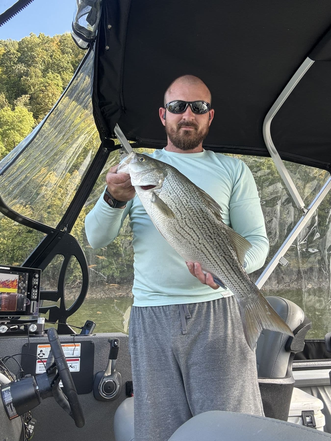 A heavy fish in camo