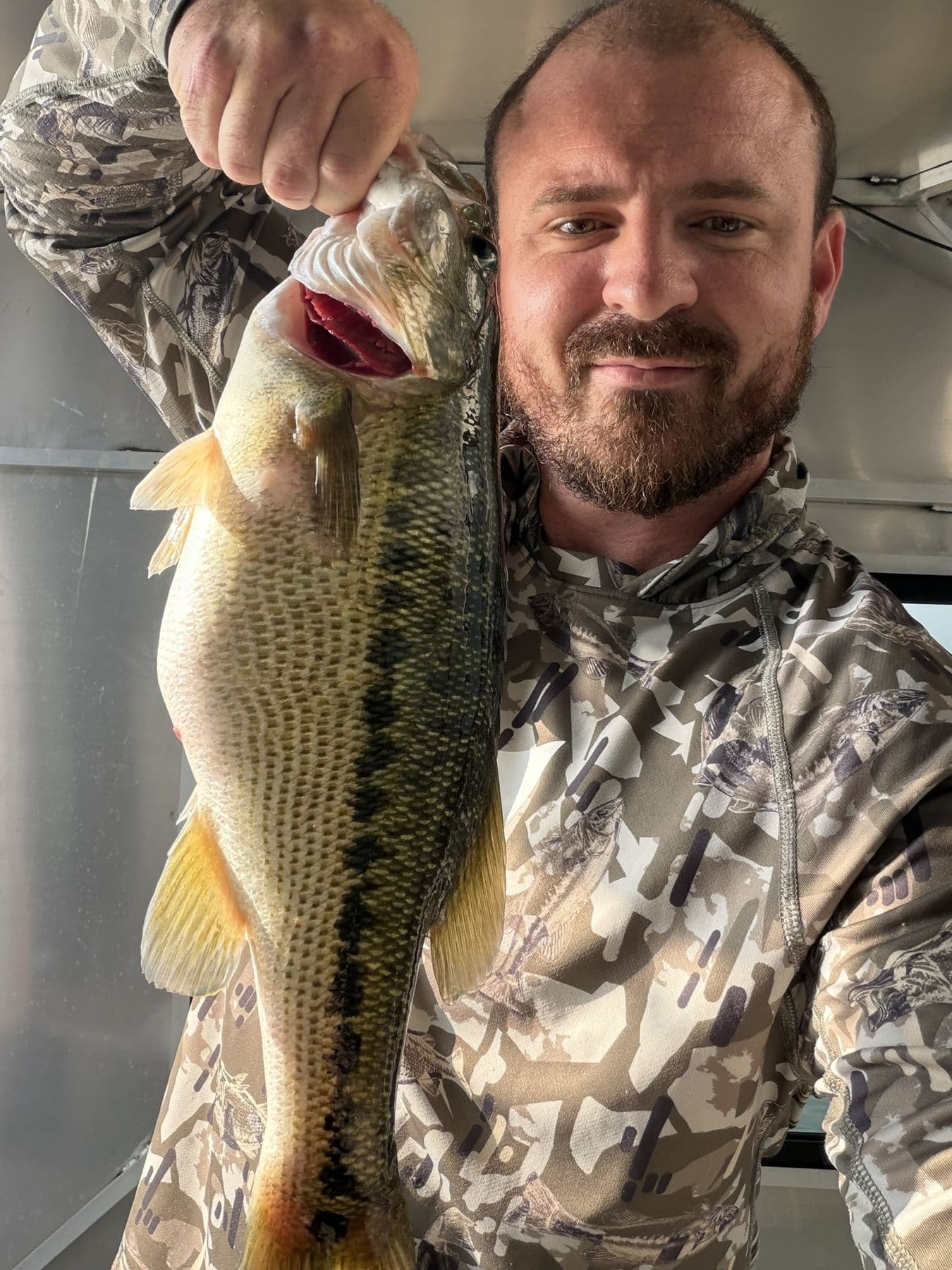 An autumn fish on the lake