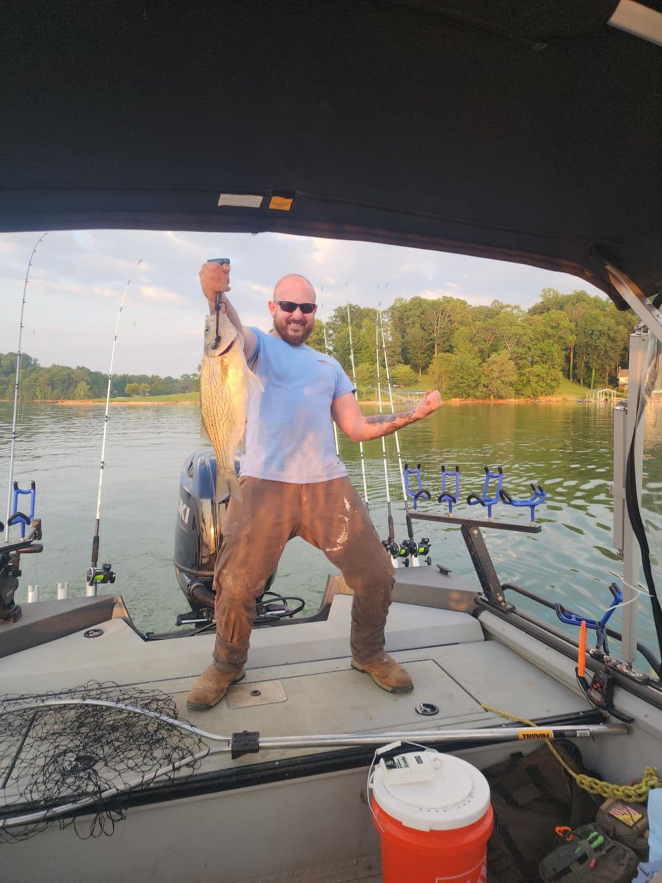 A striper from the boat