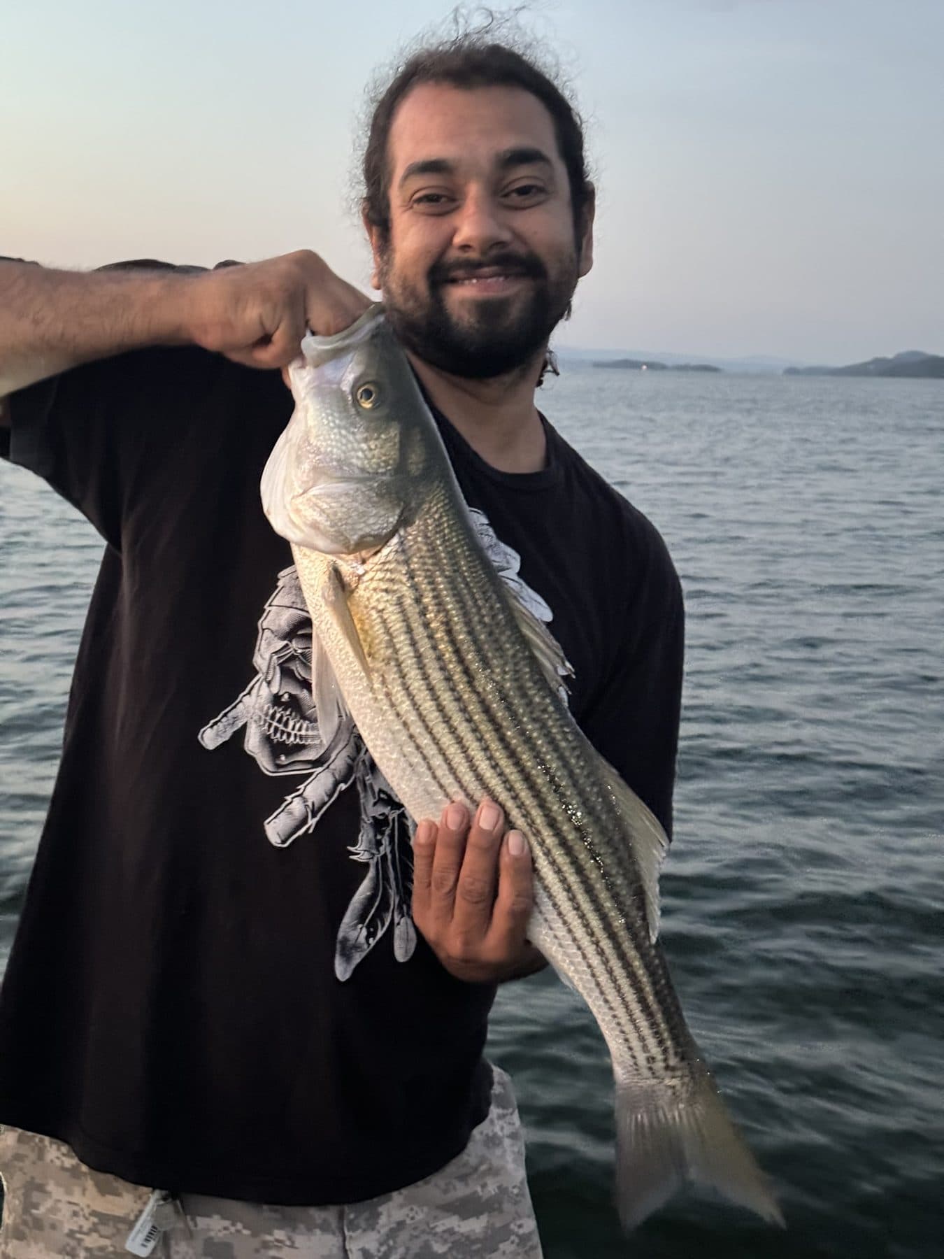 Close up of a heavy striper