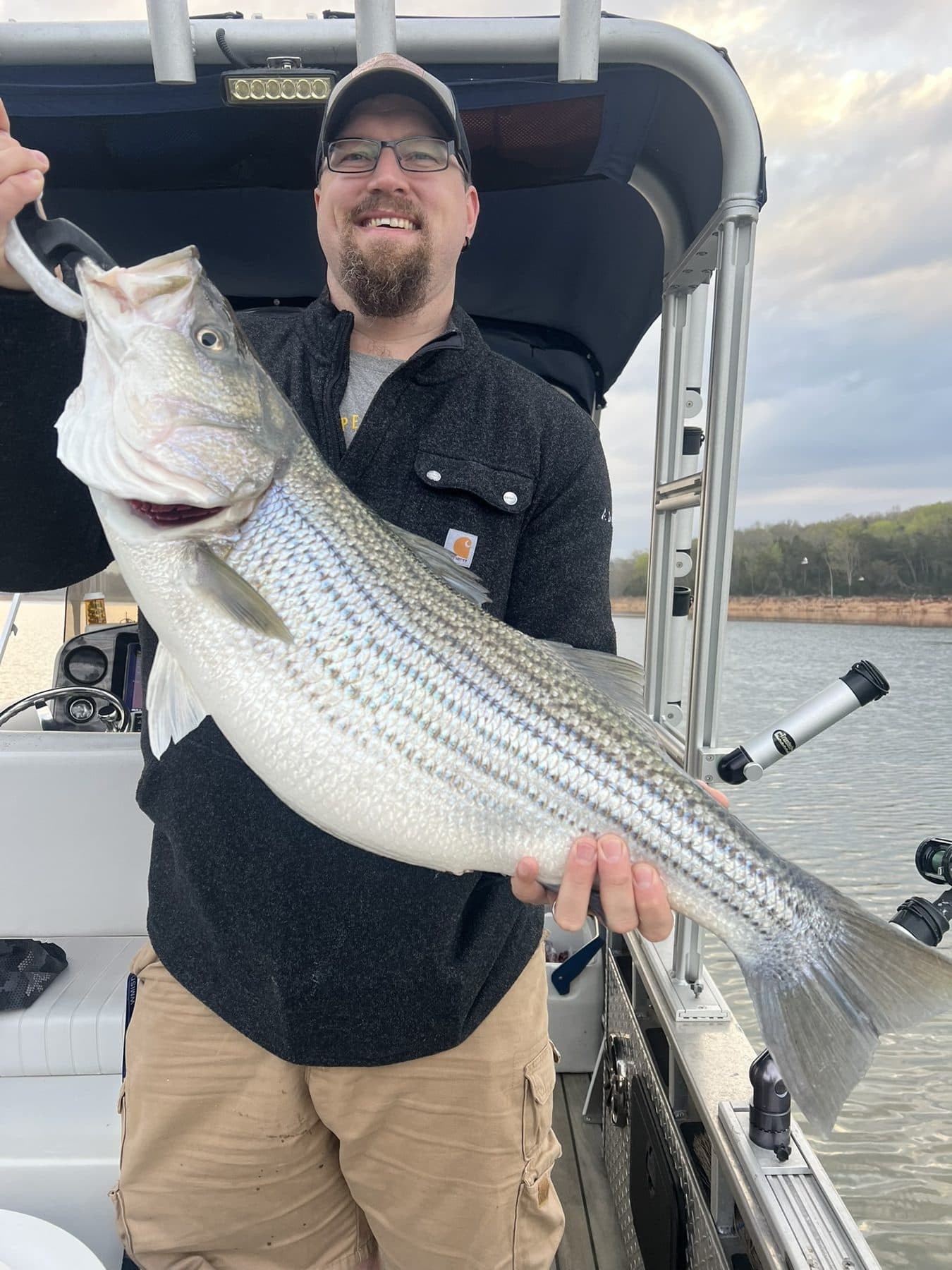 Another heavy striper