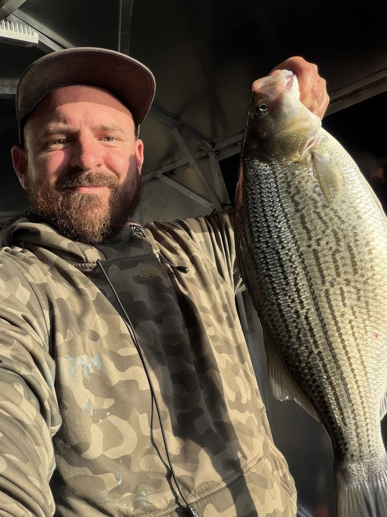 Winter striper in the warm cabin