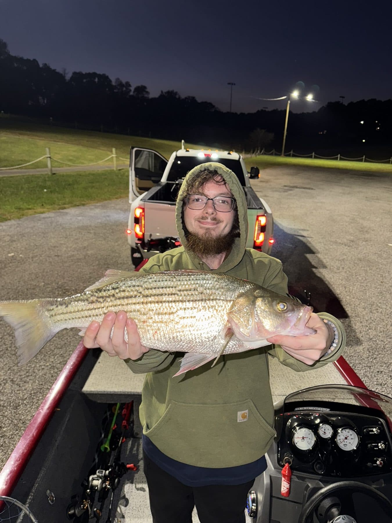 A night trip fish under the lights
