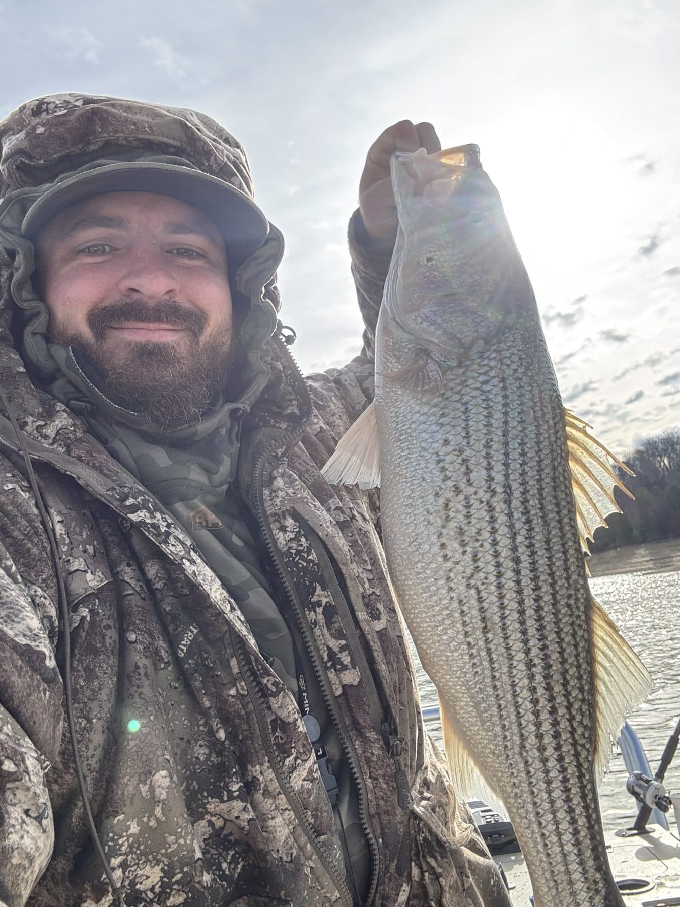 A long striper on a grey day