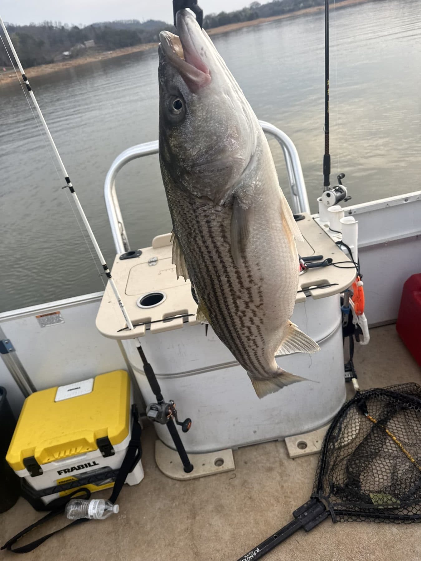 Boated and ready for the cooler