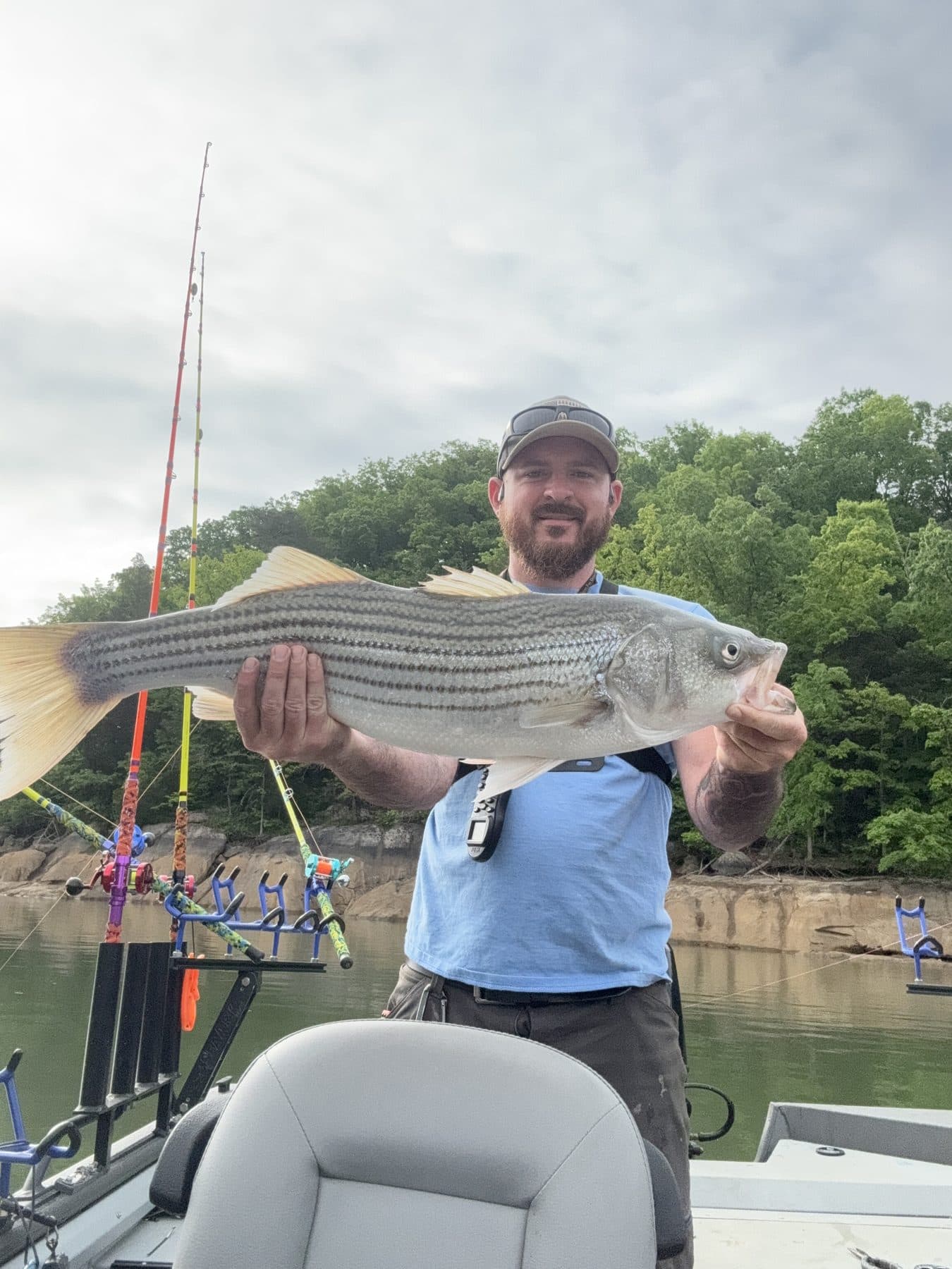 Another striper in the boat