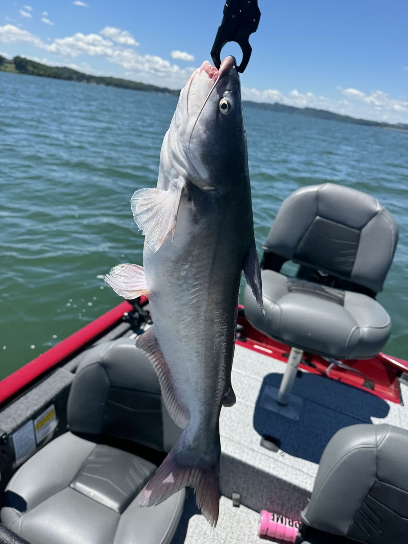 Lifting one aboard