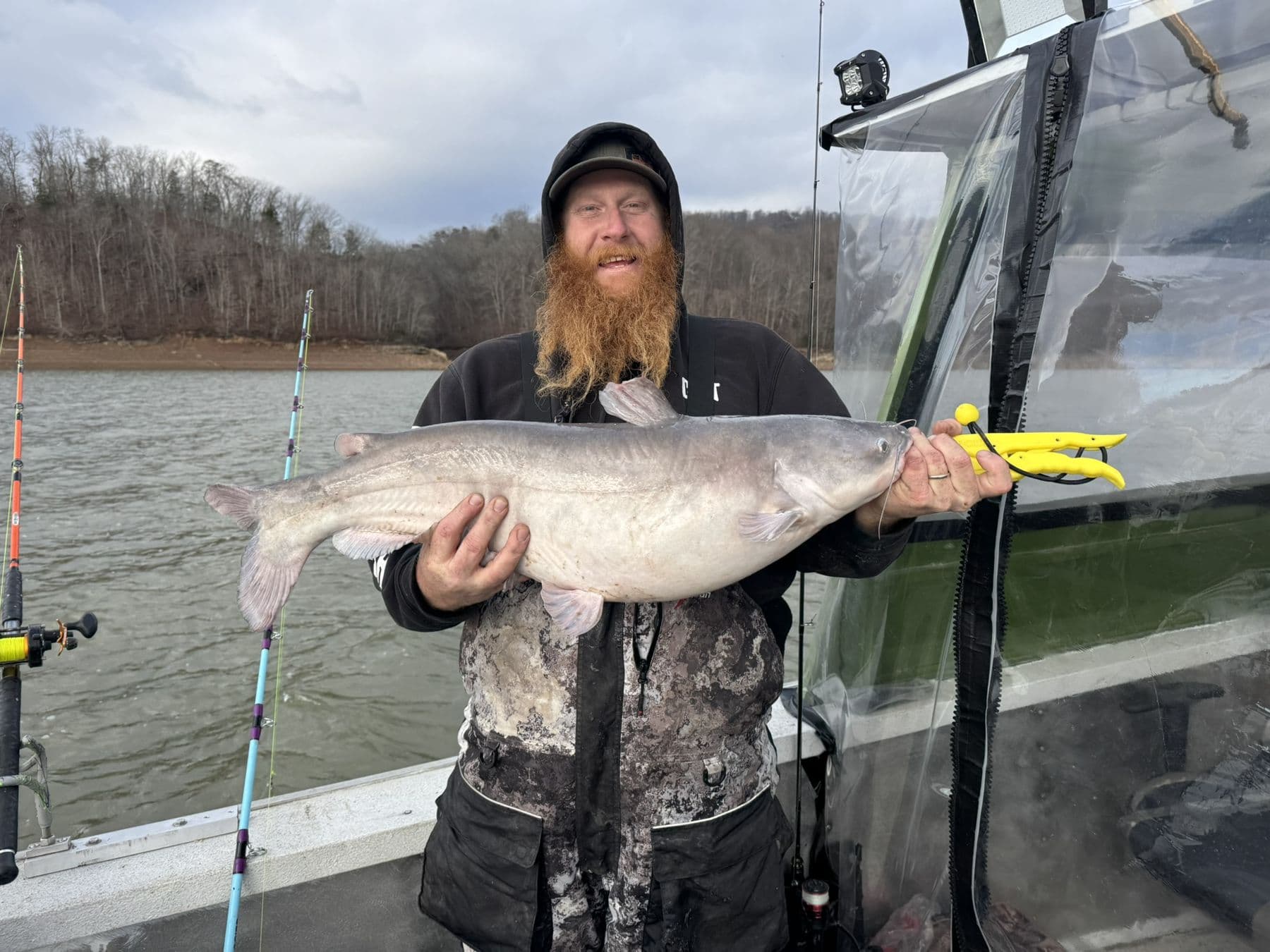 A thick winter fish