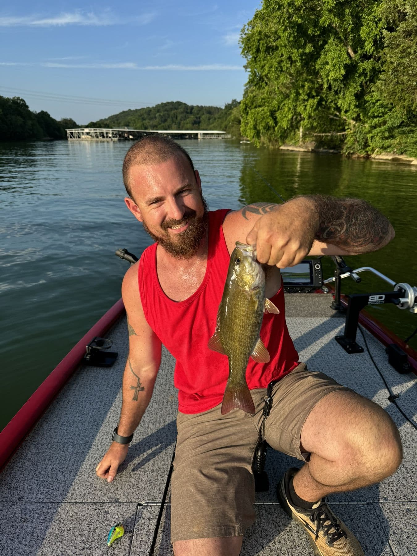 A bright day and a bright fish