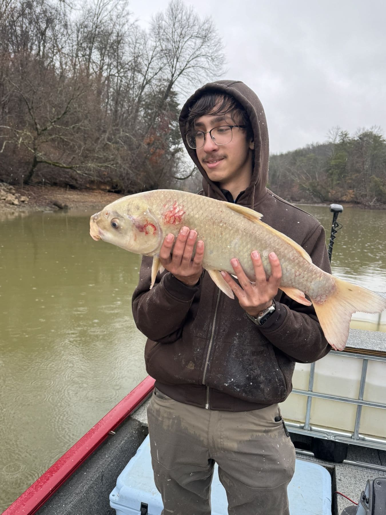 A heavyweight from the channel