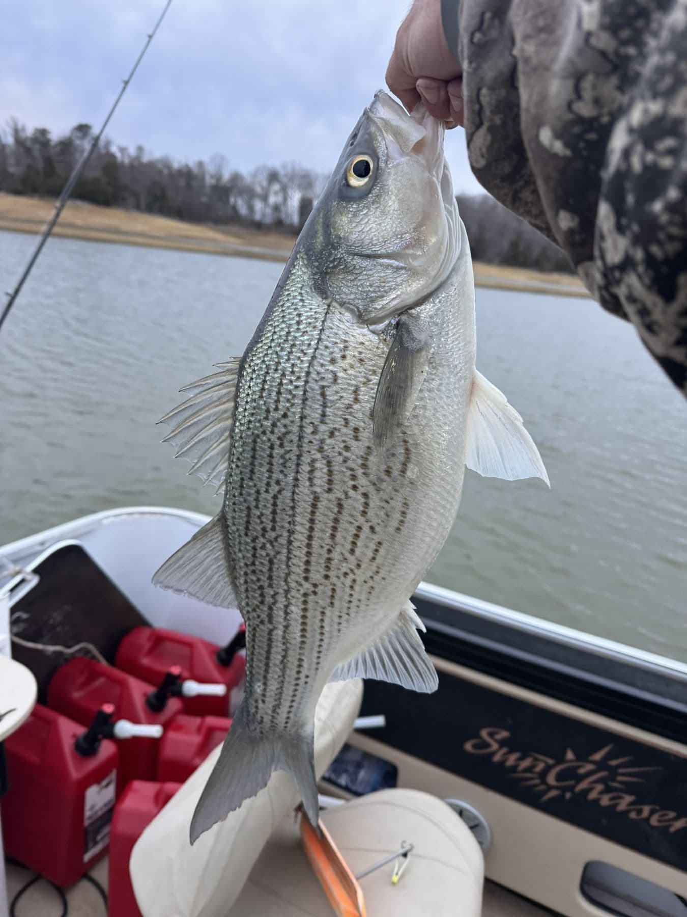 Fresh from the water