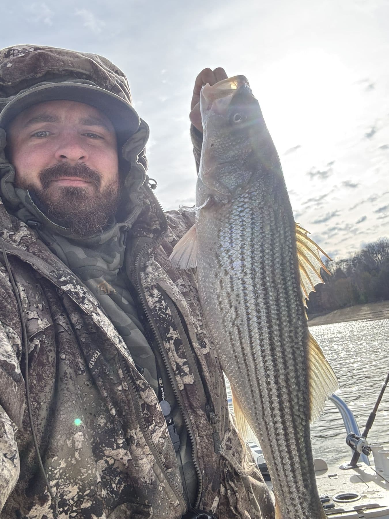 A proper fish in camo weather