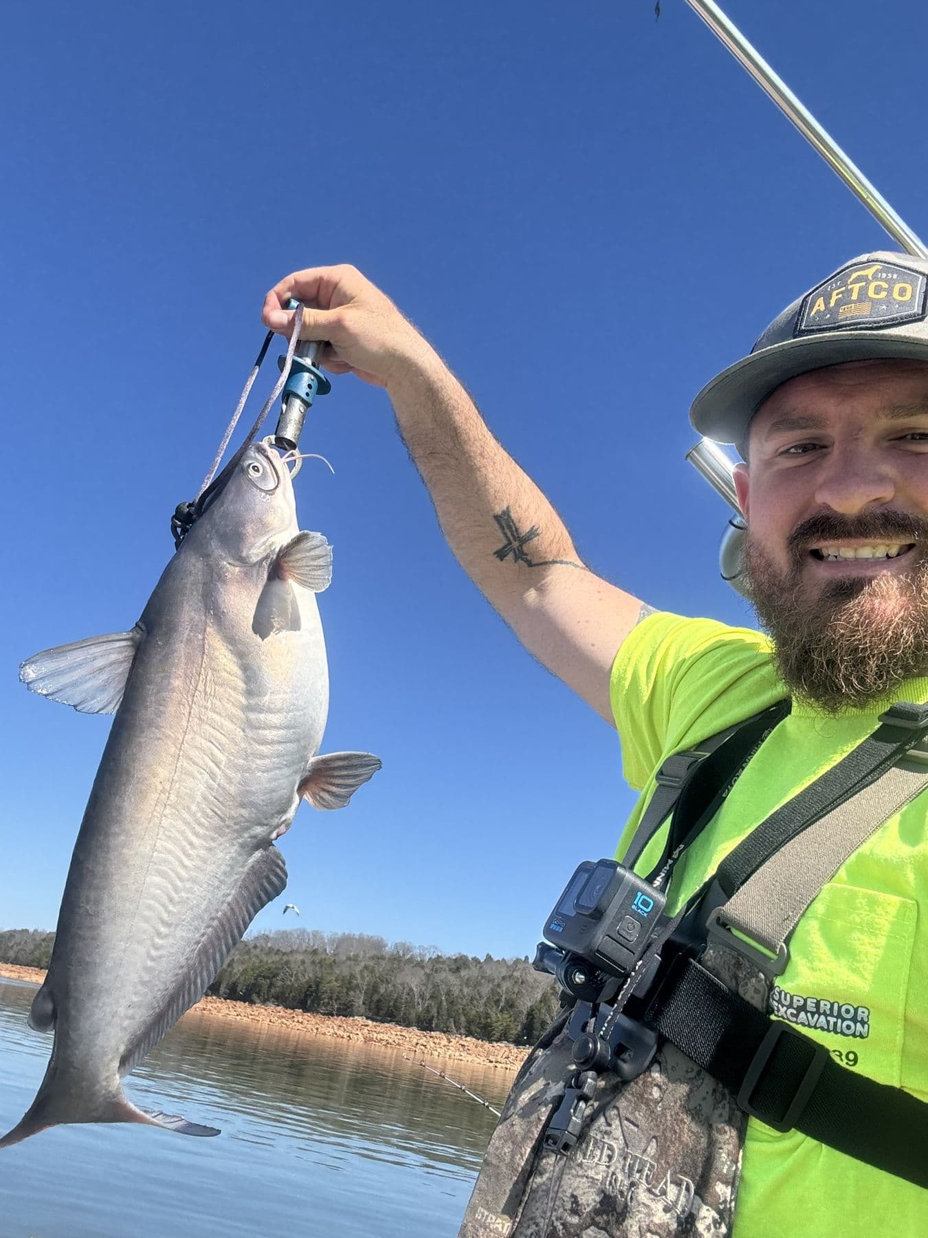 Holding one against the blue