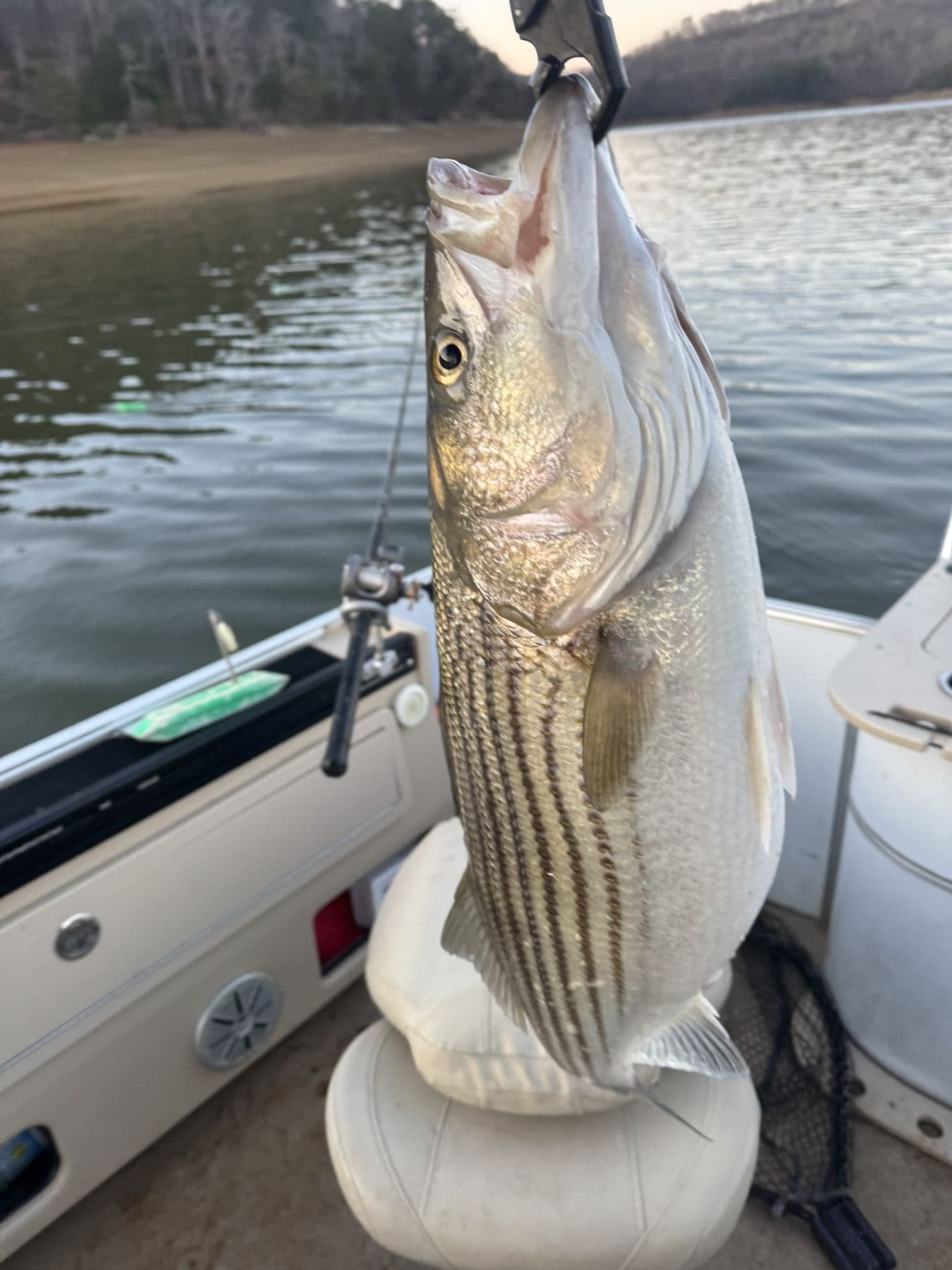 A big one on the boat