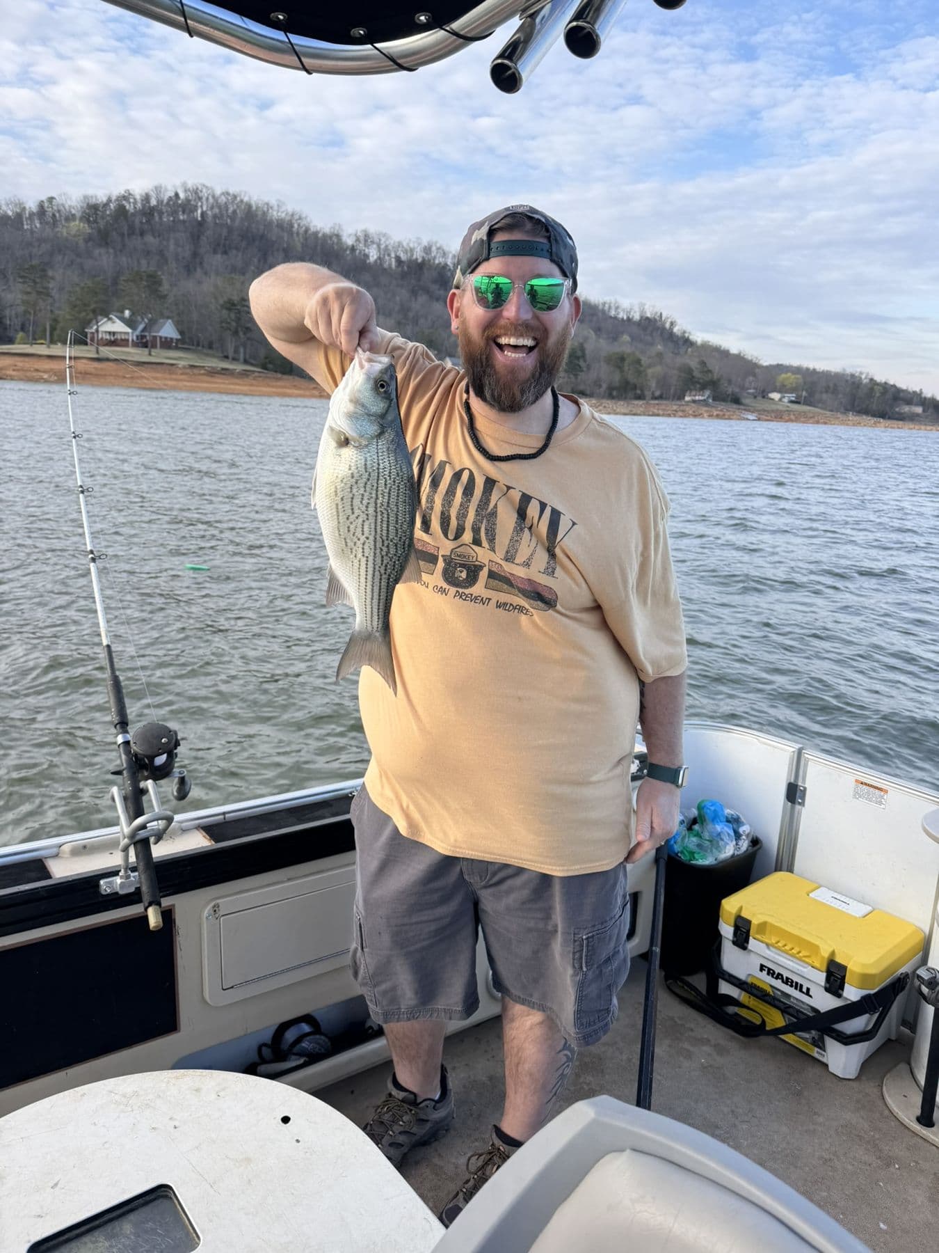 A full grown striper