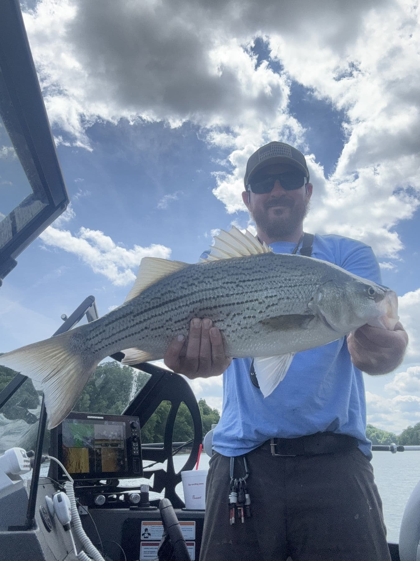 An autumn striper