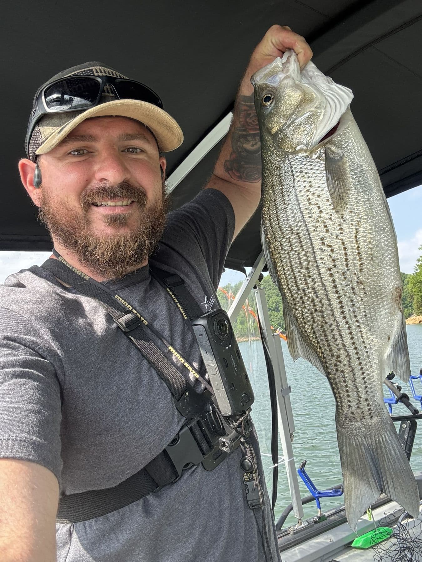 A fish that made the trip