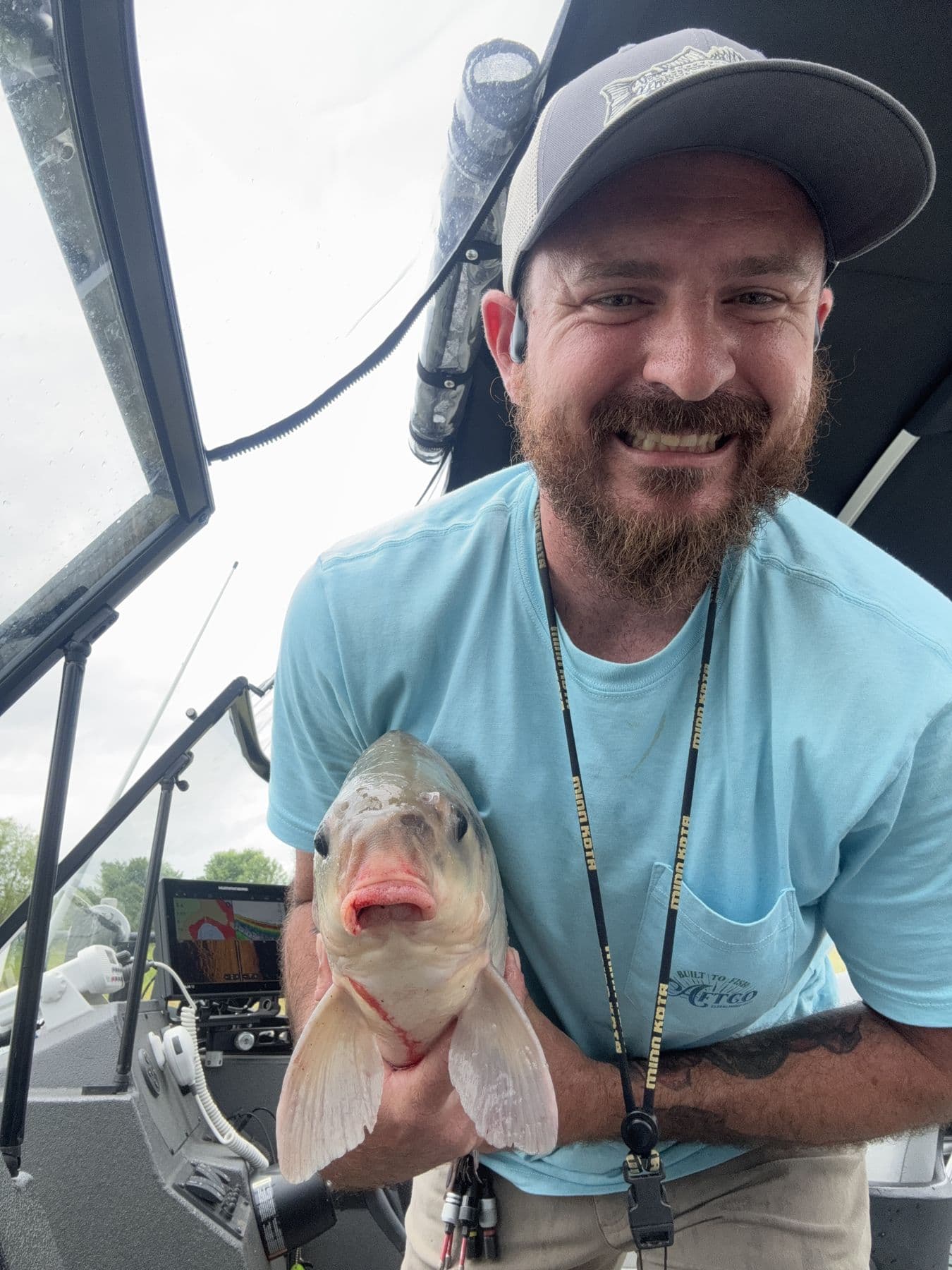 A heavy catfish
