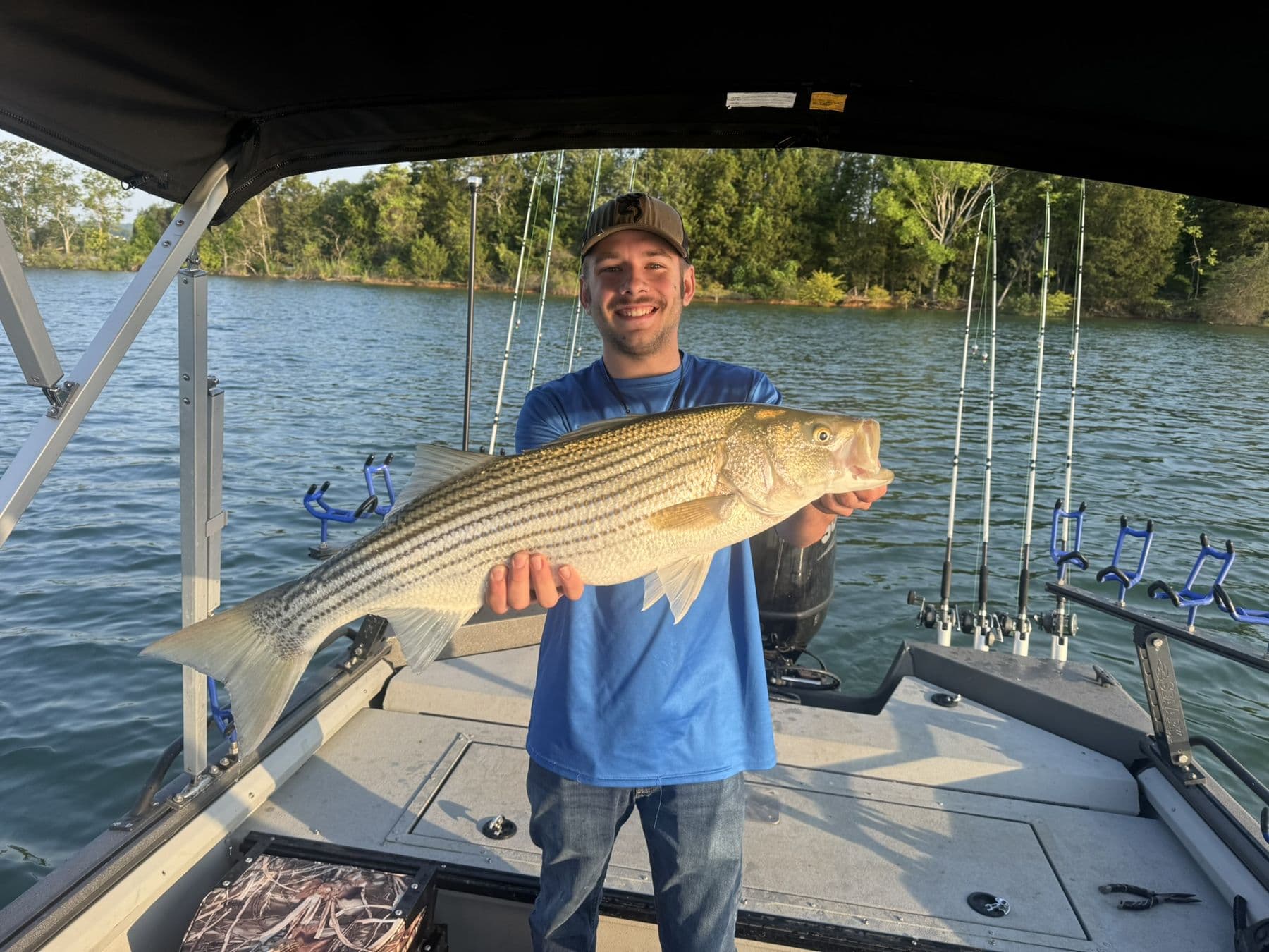 Two fish and a smile